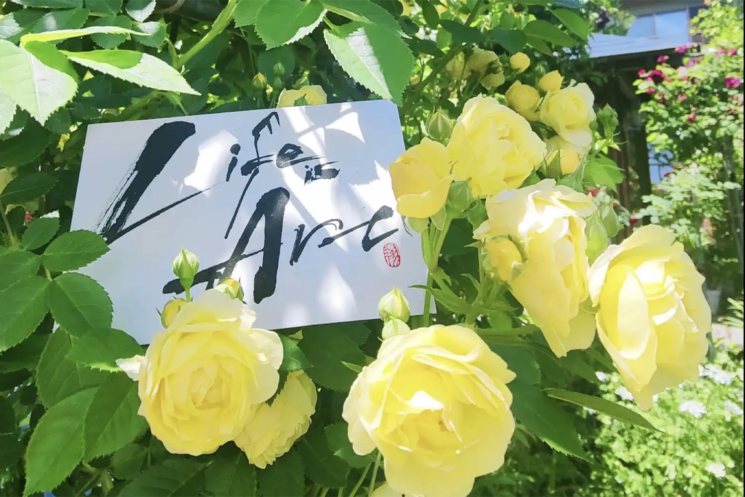 体験レッスン